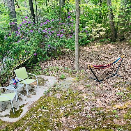 Modern Cabin With Hot Tub Grill Lake Beach Wineries Hiking Fishing And Hershey Park Family And Pet Friendly Superhosts On Ab&B Mount Gretna Exterior foto